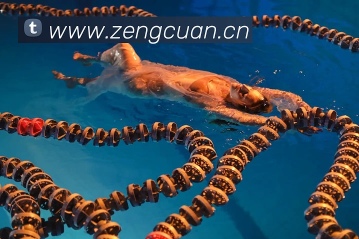 开云在线手机登陆APP 高清赛事图